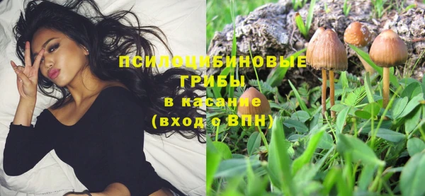 СК Красноперекопск