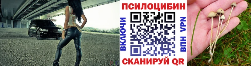 Псилоцибиновые грибы GOLDEN TEACHER  Купить закладки  Гдов 